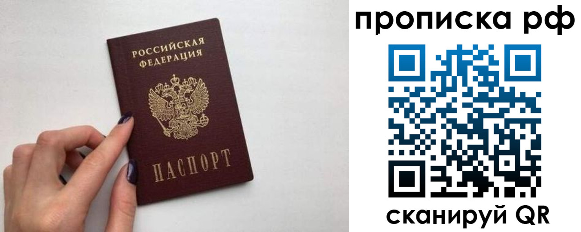 прописка в квартире в Бабаево